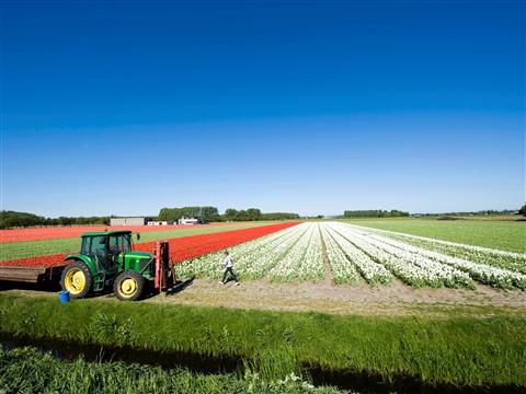 Dag voor de Leefomgeving: VTH in actie